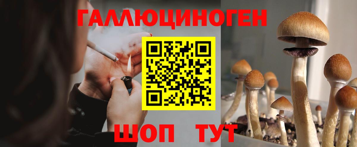 Белогорск  Галлюциногенные грибы Psilocybine cubensis  Вход с VPN 